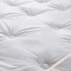 Couette LuxeConfort avec garnissage en fibres creuses siliconées et traitement triple action anti-acariens, anti-bactériens et anti-punaises de lit