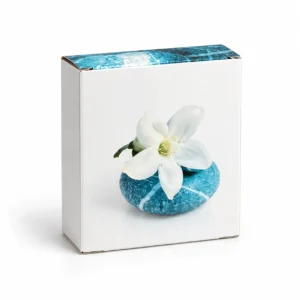 Coffret Kit d’accueil entretien Jasmin V1 pour professionnels de l’hébergement